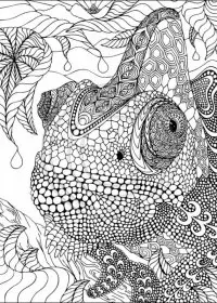 Pentru adulti de colorat p51