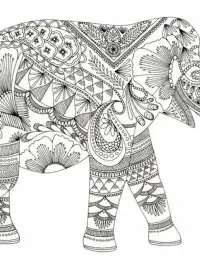 Pentru adulti de colorat p63