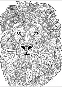 Pentru adulti de colorat p29