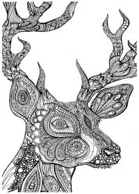 Pentru adulti de colorat p74