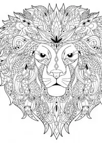 Pentru adulti de colorat p27