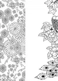 Pentru adulti de colorat p39