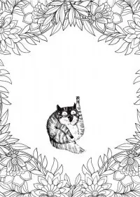 Pentru adulti de colorat p55