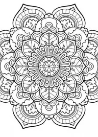 Pentru adulti de colorat p53