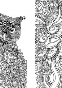 Pentru adulti de colorat p62