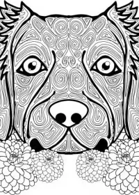 Pentru adulti de colorat p65