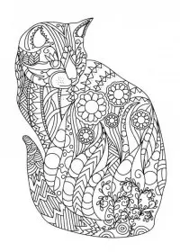 Pentru adulti de colorat p71