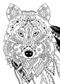 Pentru adulti de colorat p43