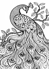Pentru adulti de colorat p45