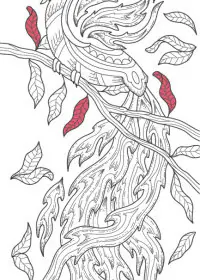 Pasari de foc de colorat