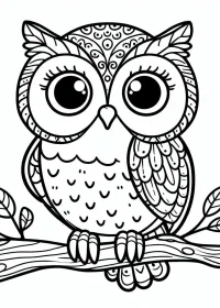 Fișă cu bufniță de colorat p28