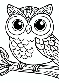 Fișă cu bufniță de colorat p31