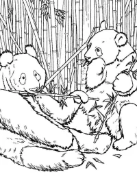 Fișă cu ursul panda de colorat p16