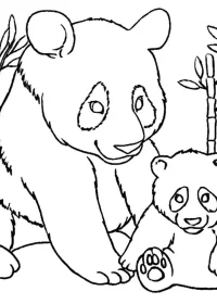 Fișă cu ursul panda de colorat p22