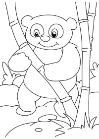 Fișă cu ursul panda de colorat p25