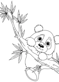 Fișă cu ursul panda de colorat p47