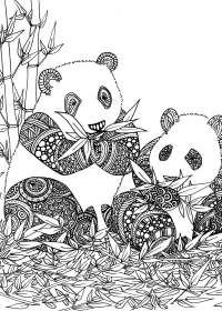 Fișă cu ursul panda de colorat p56