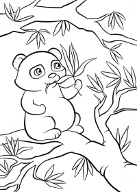 Fișă cu ursul panda de colorat p59