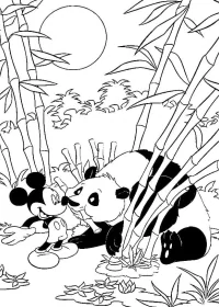 Fișă cu ursul panda de colorat p63