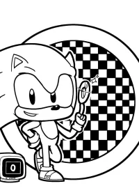 Sonic de colorat p47