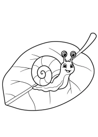 Fișă cu melc de colorat p11