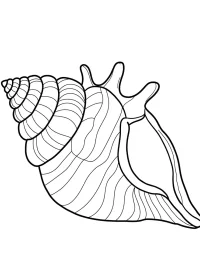 Fișă cu melc de colorat p13