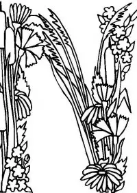 Fisă de colorat cu Alfabetul cu flori de colorat p14