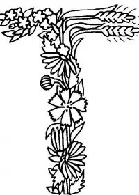 Fisă de colorat cu Alfabetul cu flori de colorat p20