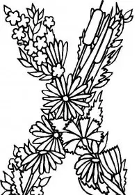 Fisă de colorat cu Alfabetul cu flori de colorat p24