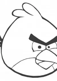 Angry Birds de colorat