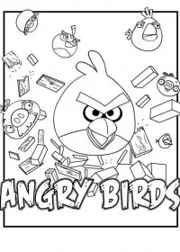 Fisă de colorat cu Angry birds de colorat p05