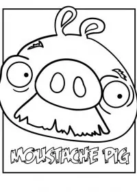 Fisă de colorat cu Angry birds de colorat p25