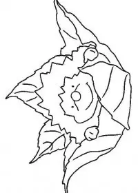 Fisă de colorat cu Animale arici de colorat p02