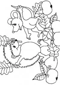 Fisă de colorat cu Animale arici de colorat p03