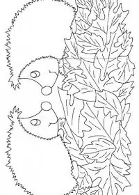Fisă de colorat cu Animale arici de colorat p06