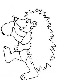 Fisă de colorat cu Animale arici de colorat p07