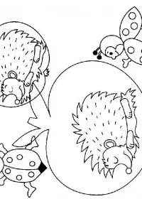 Fisă de colorat cu Animale arici de colorat p14