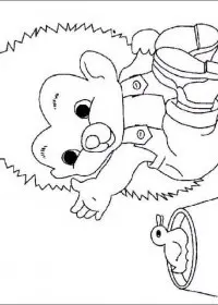 Fisă de colorat cu Animale arici de colorat p15