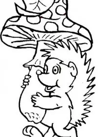 Fisă de colorat cu Animale arici de colorat p16