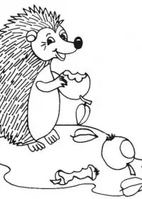 Fisă de colorat cu Animale arici de colorat p20