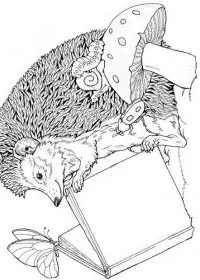 Fisă de colorat cu Animale arici de colorat p23