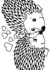 Fisă de colorat cu Animale arici de colorat p27