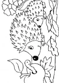 Fisă de colorat cu Animale arici de colorat p29