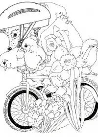 Fisă de colorat cu Animale arici de colorat p30