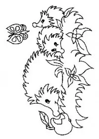 Fisă de colorat cu Animale arici de colorat p31