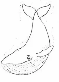 Fisă de colorat cu Animale balene de colorat p05