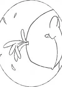 Fisă de colorat cu Animale balene de colorat p06