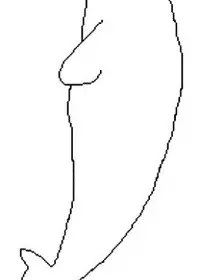 Fisă de colorat cu Animale balene de colorat p14