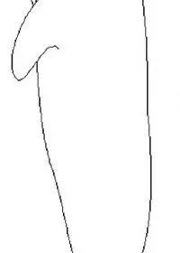 Fisă de colorat cu Animale balene de colorat p15