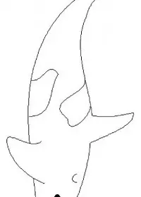 Fisă de colorat cu Animale balene de colorat p16